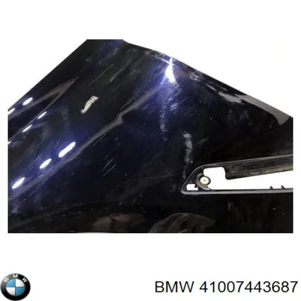 Compre 41007443687 BMW Pára-lama dianteiro esquerdo