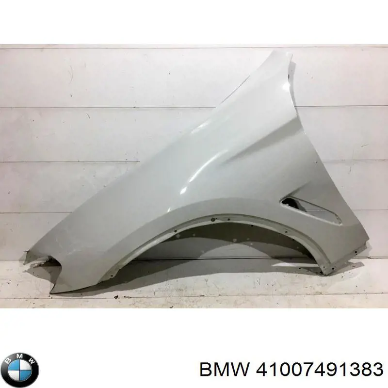 41007491383 BMW Pára-lama dianteiro esquerdo
