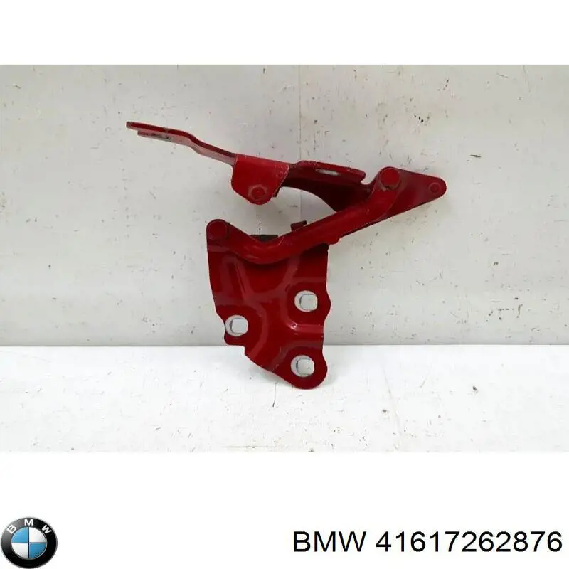 41617262876 BMW Gozno da capota direito