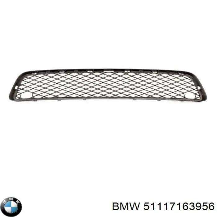 51117163956 BMW Grelha central do pára-choque dianteiro