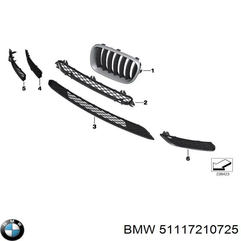 51117210725 BMW Grelha do radiador esquerda