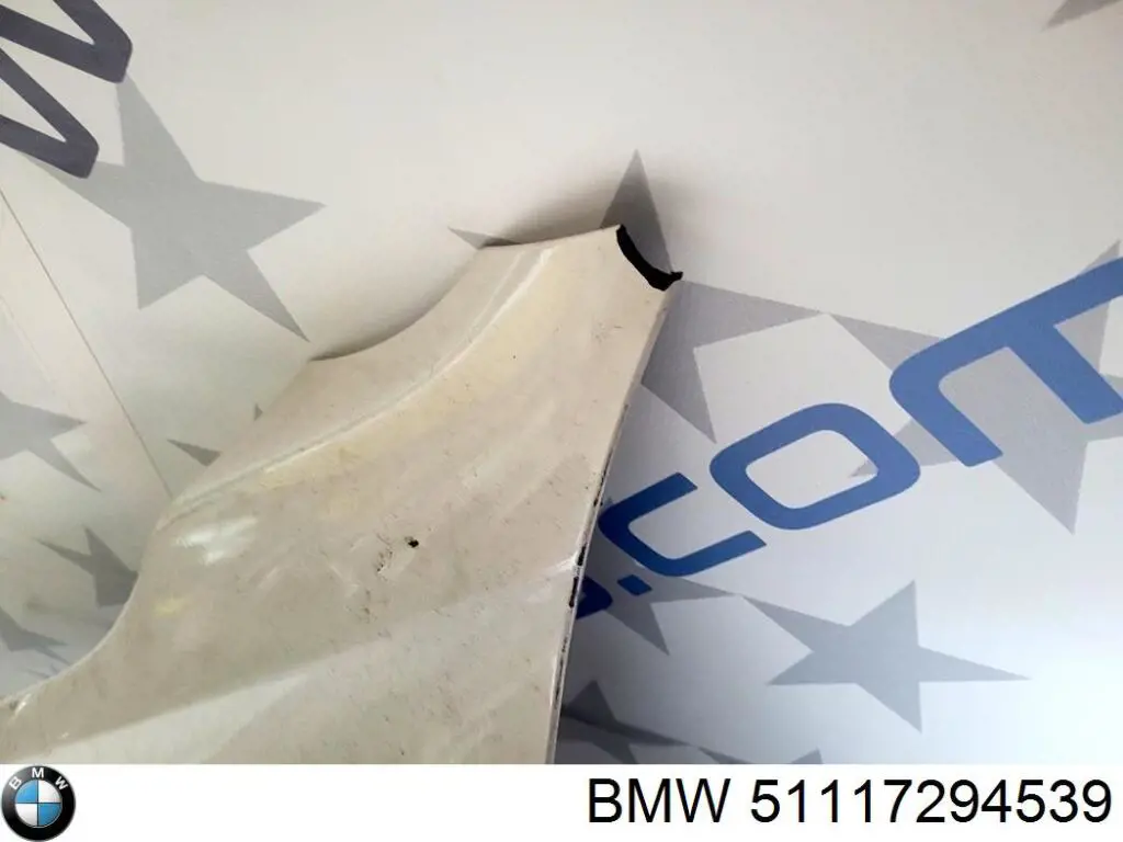  BMW 51117294539