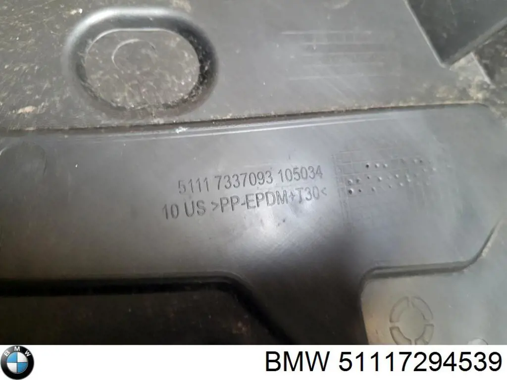 51117294539 BMW 