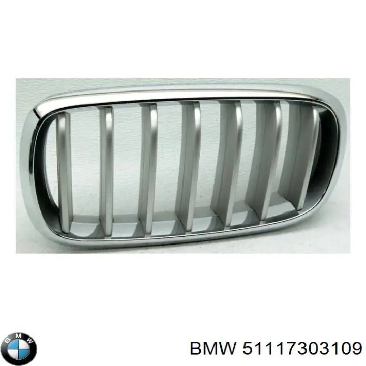 51117303109 BMW Grelha do radiador esquerda