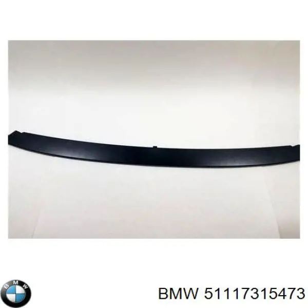 51117315473 BMW Placa sobreposta central do pára-choque dianteiro