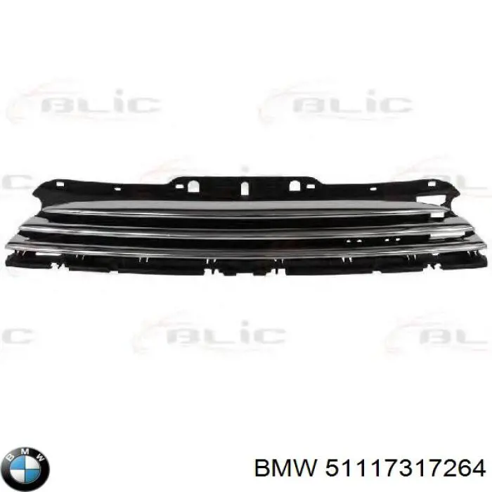 51117317264 BMW Grelha do radiador