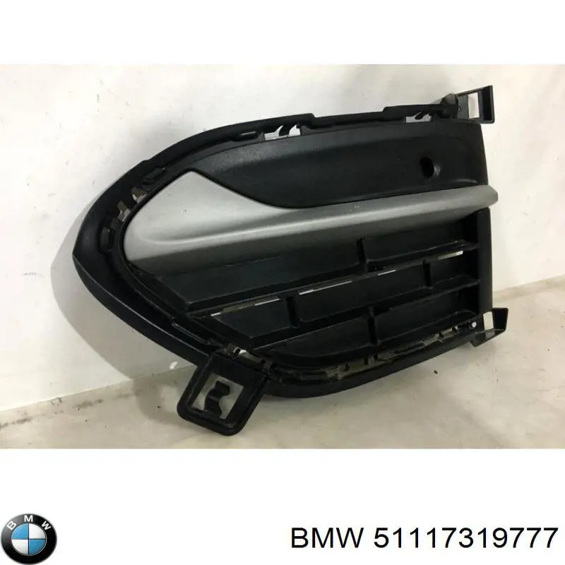 Compre 51117319777 BMW Tampão (grelha) das luzes de nevoeiro do pára-choque dianteiro esquerdo