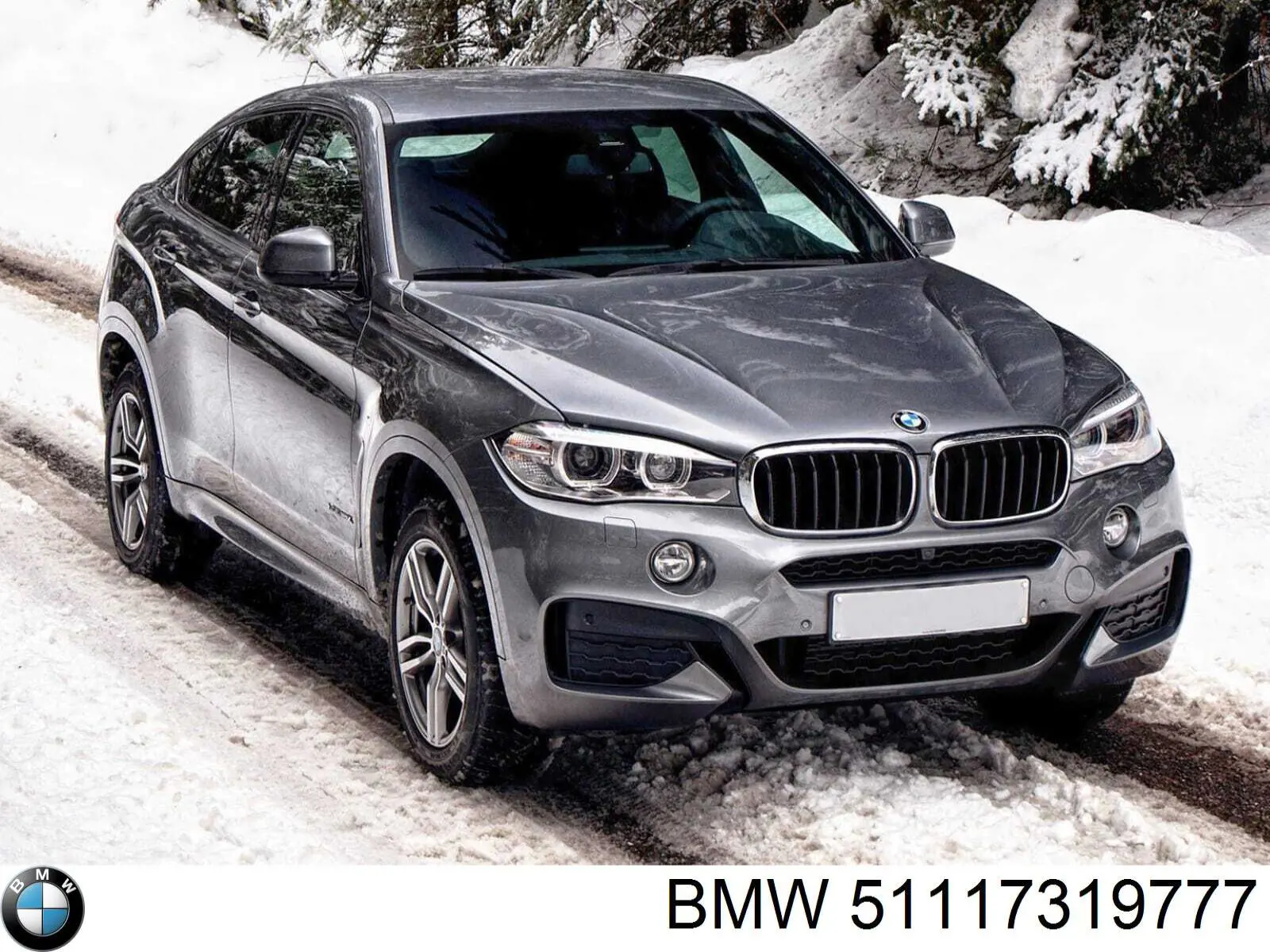 51117319777 BMW Tampão (grelha) das luzes de nevoeiro do pára-choque dianteiro esquerdo