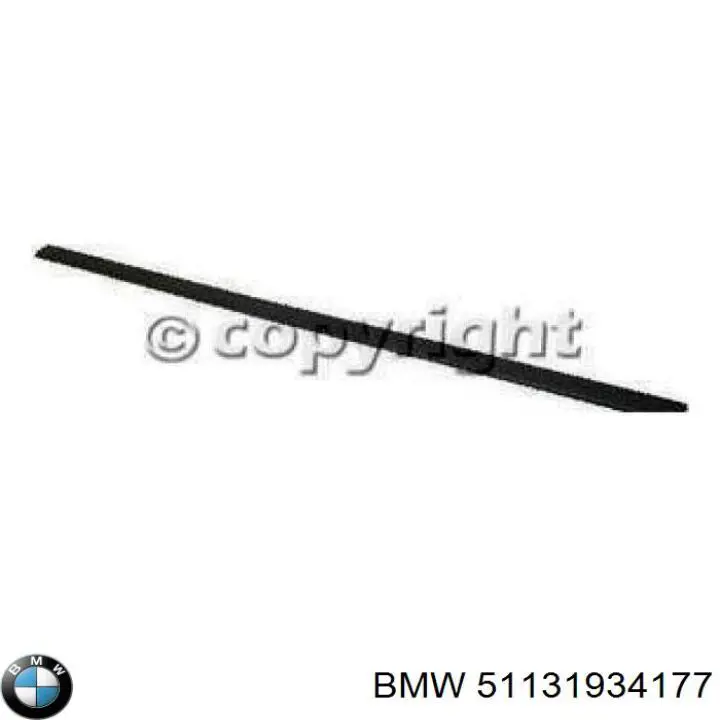 Compre 51131934177 BMW Moldura da porta dianteira esquerda