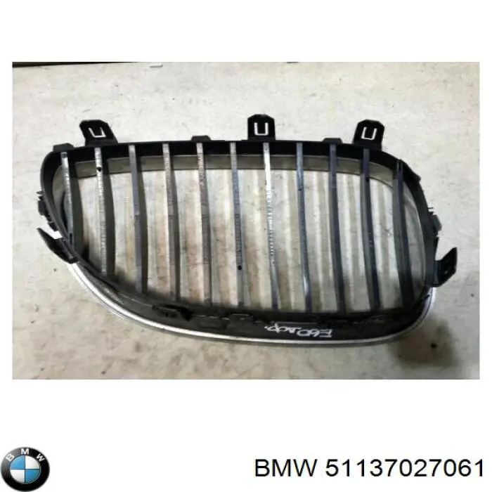 51137027061 BMW Grelha do radiador esquerda