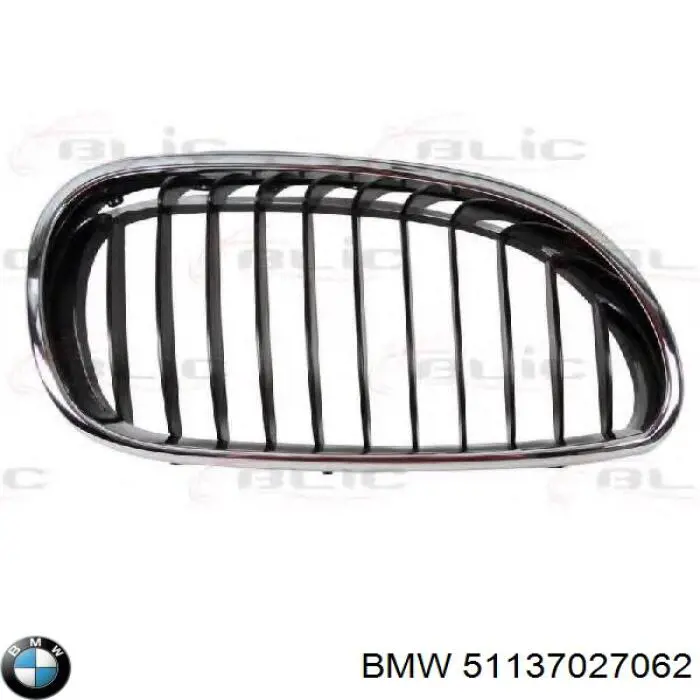 51137027062 BMW Grelha do radiador direita