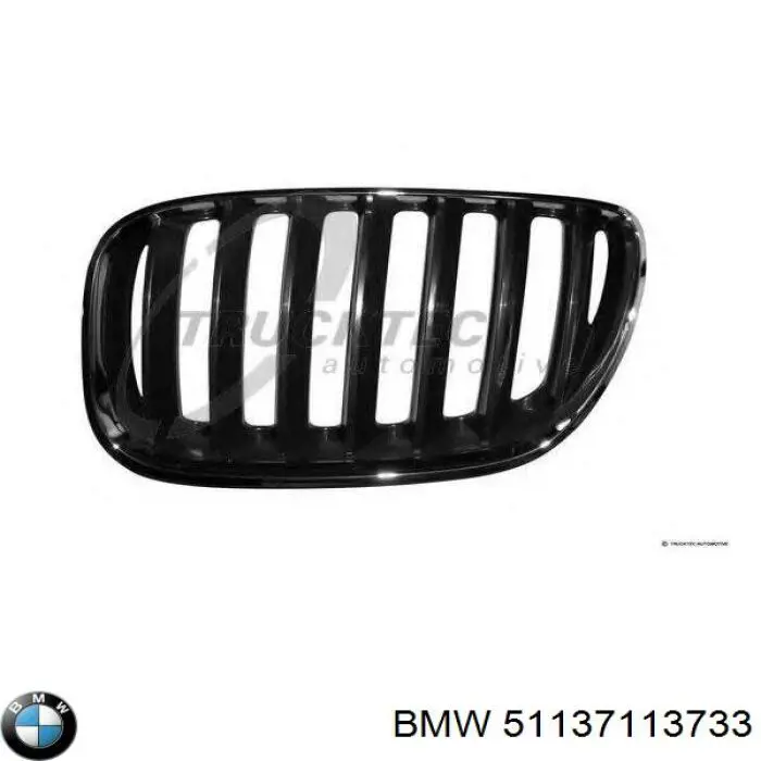 Grelha do radiador esquerda BMW 51137113733 preço, a partir de 41,91 USD