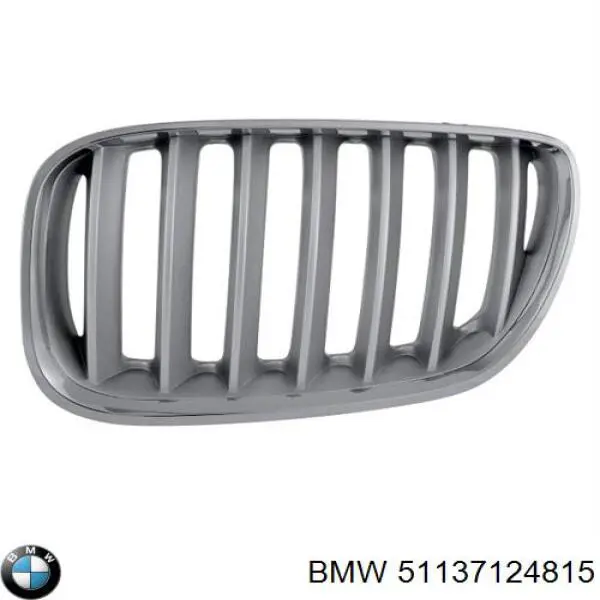 Grelha do radiador esquerda BMW 51137124815 preço, a partir de 71,34 USD