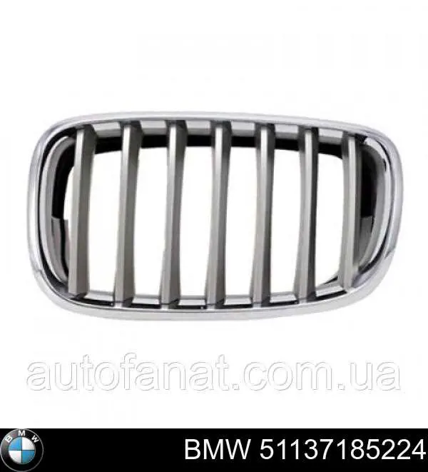 51137185224 BMW Grelha do radiador direita