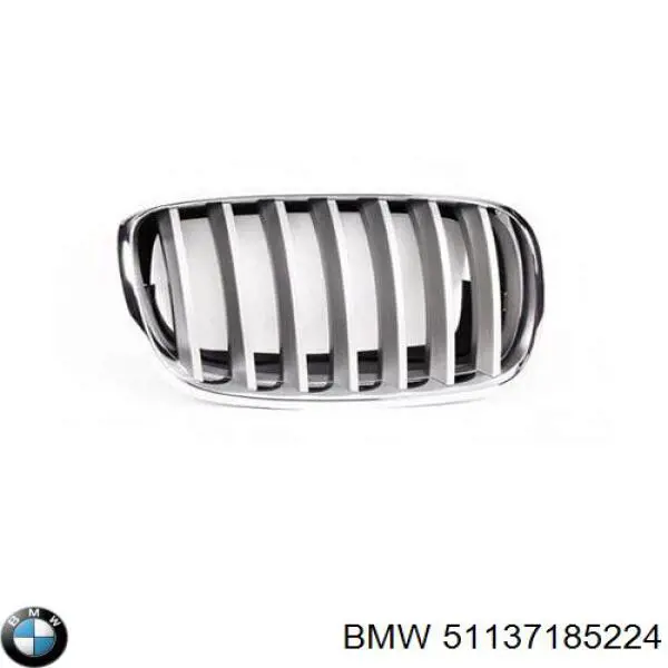 Compre 51137185224 BMW Grelha do radiador direita