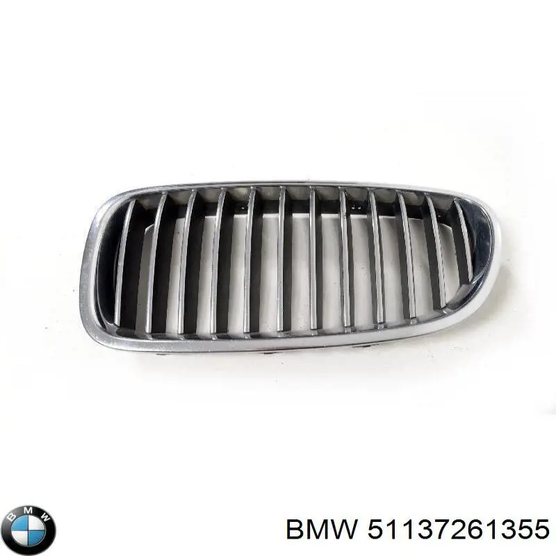 51137261355 BMW Grelha do radiador esquerda