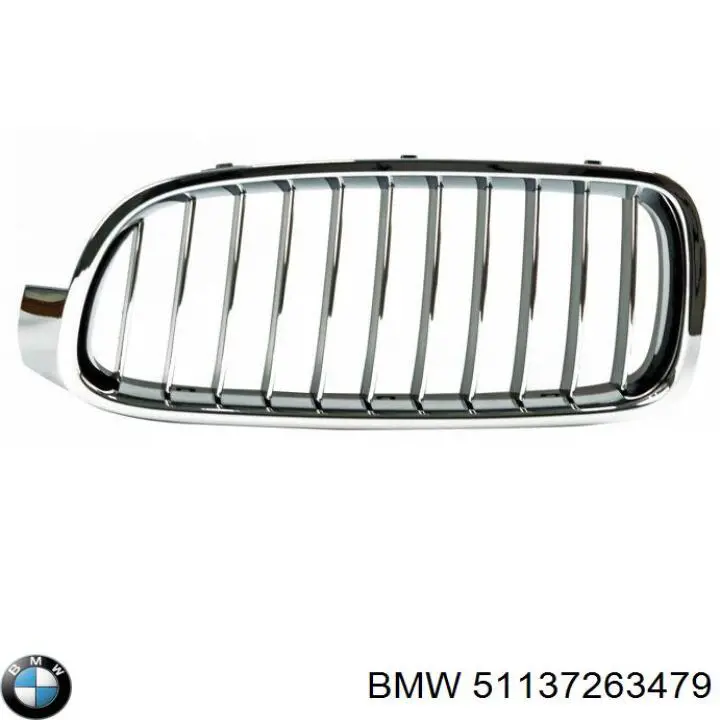 Compre 51137263479 BMW Grelha do radiador esquerda