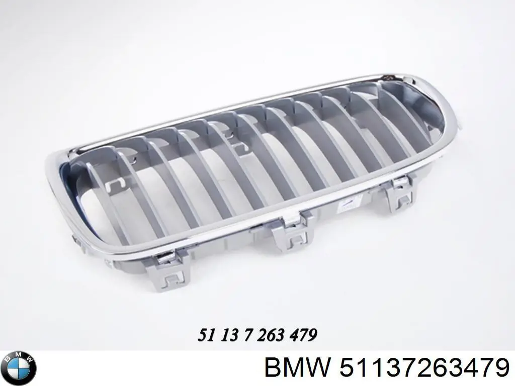 51137263479 BMW Grelha do radiador esquerda