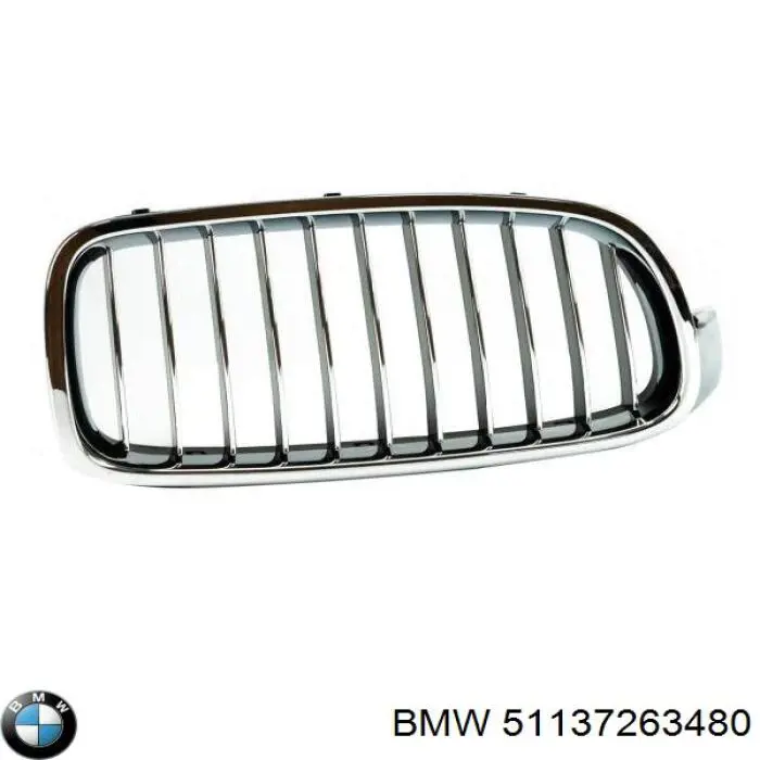 51137263480 BMW Grelha do radiador direita