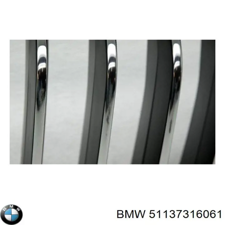 51137316061 BMW Grelha do radiador esquerda