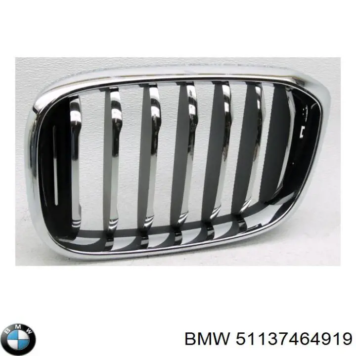 51137464919 BMW Grelha do radiador esquerda