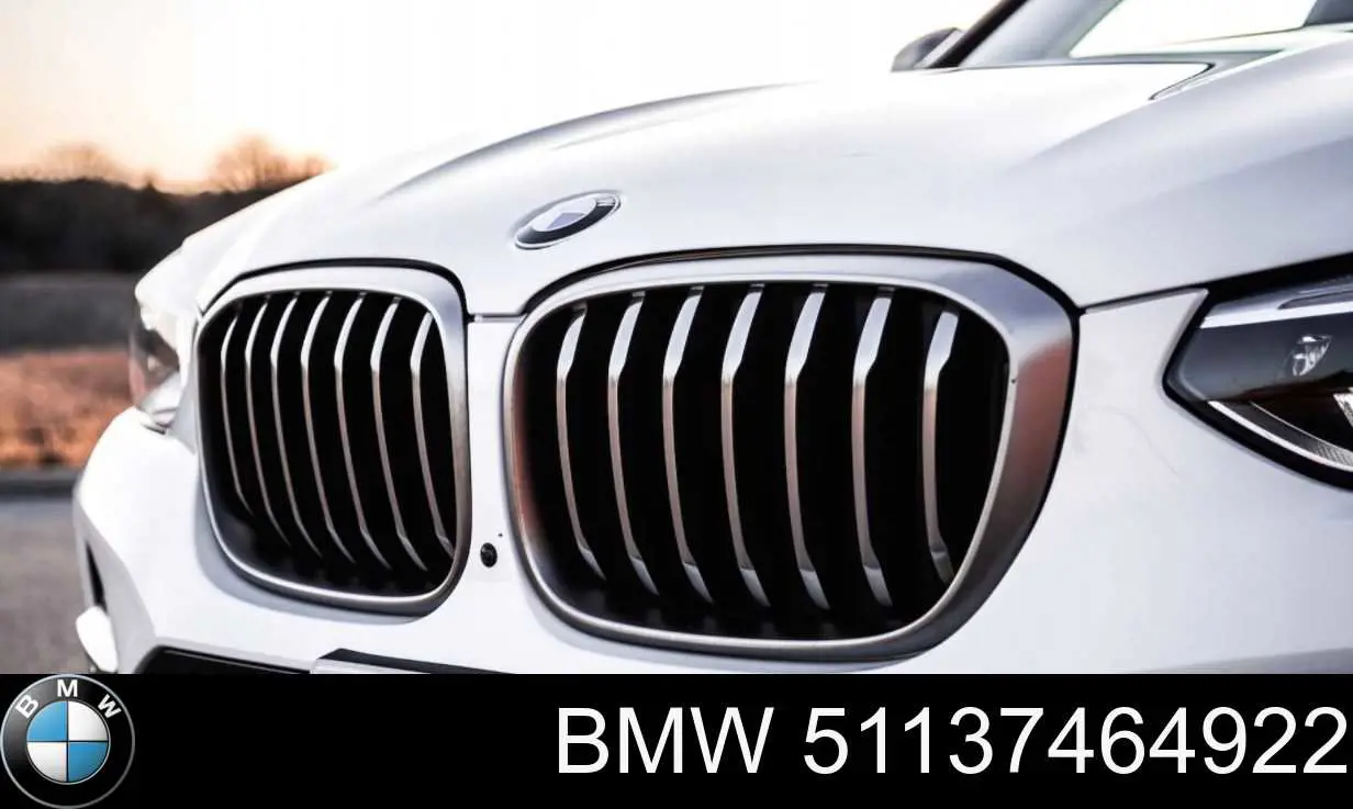 51137464922 BMW Grelha do radiador direita