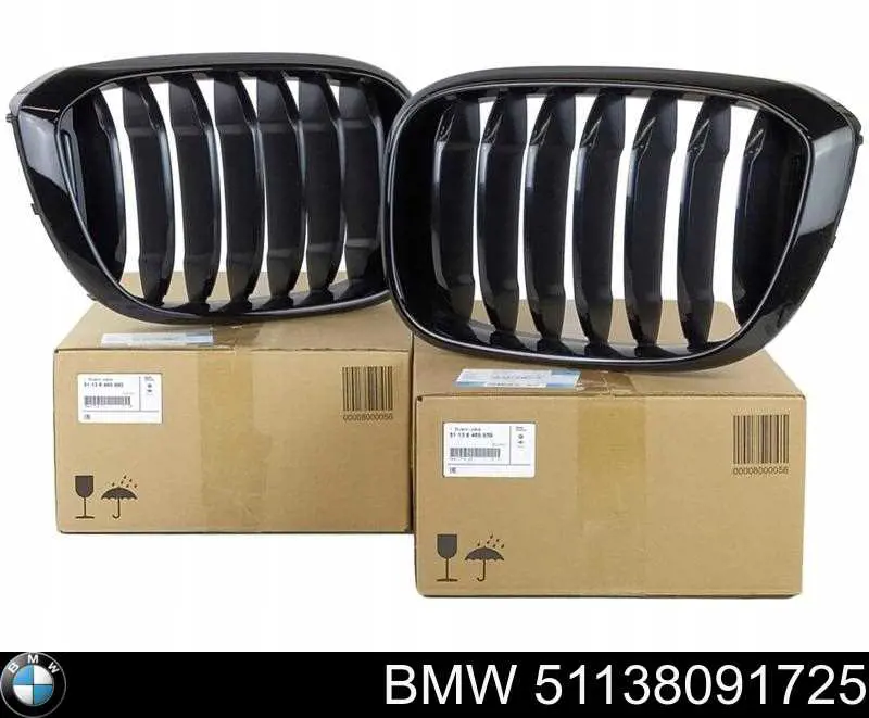 51138091725 BMW Grelha do radiador esquerda