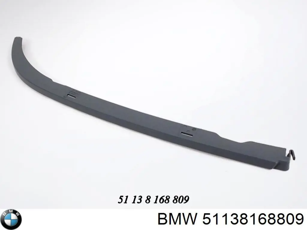 Compre 51138168809 BMW Ripa (placa sobreposta) da luz esquerda