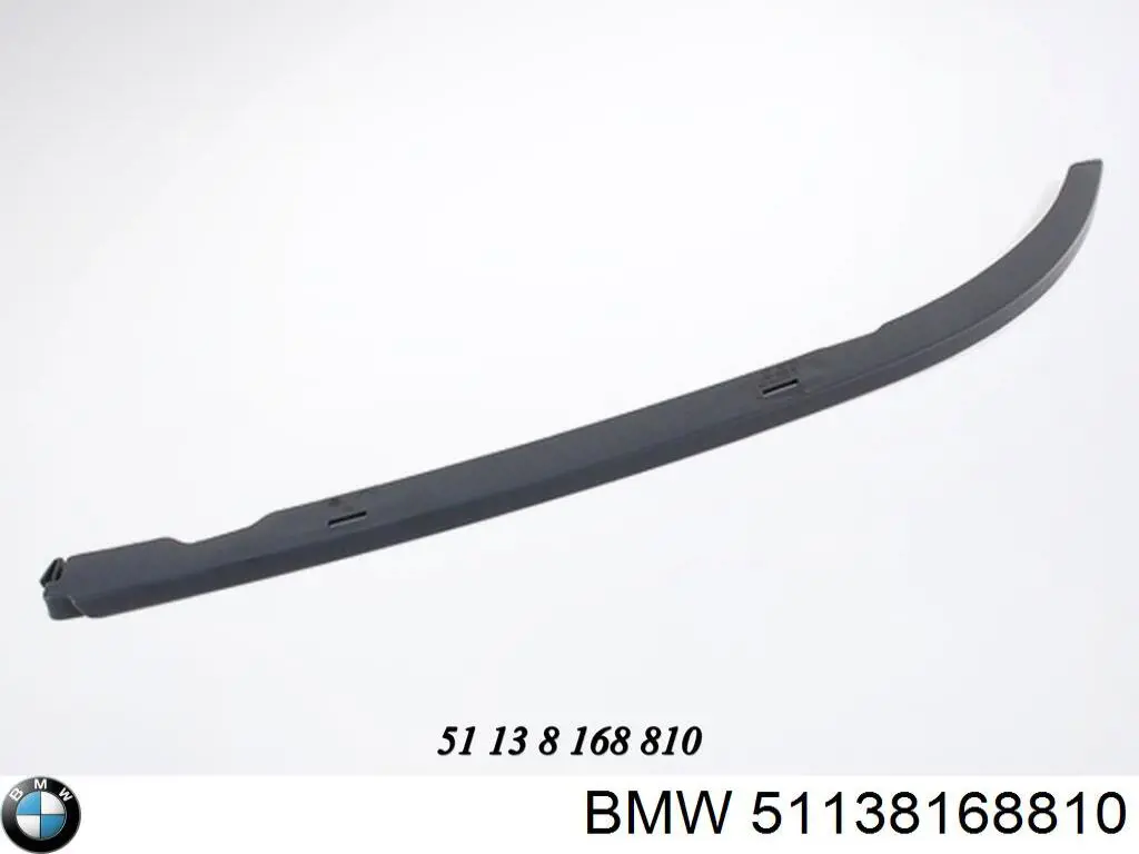 Compre 51138168810 BMW Ripa (placa sobreposta) da luz direita