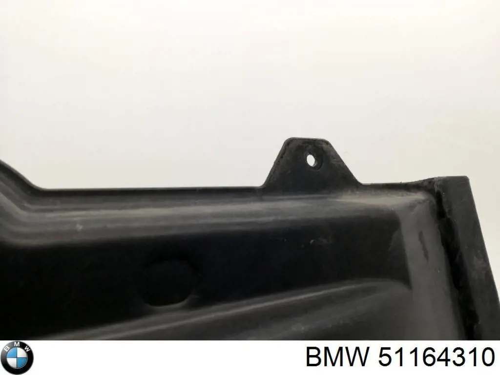 51164310 BMW 