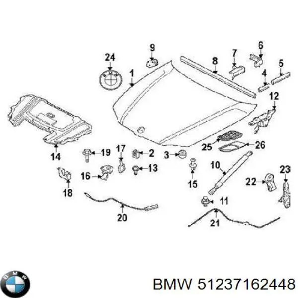 51237162448 BMW Pára-choque (grade de proteção) da capota