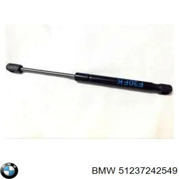 51237242549 BMW Fecho da capota direito