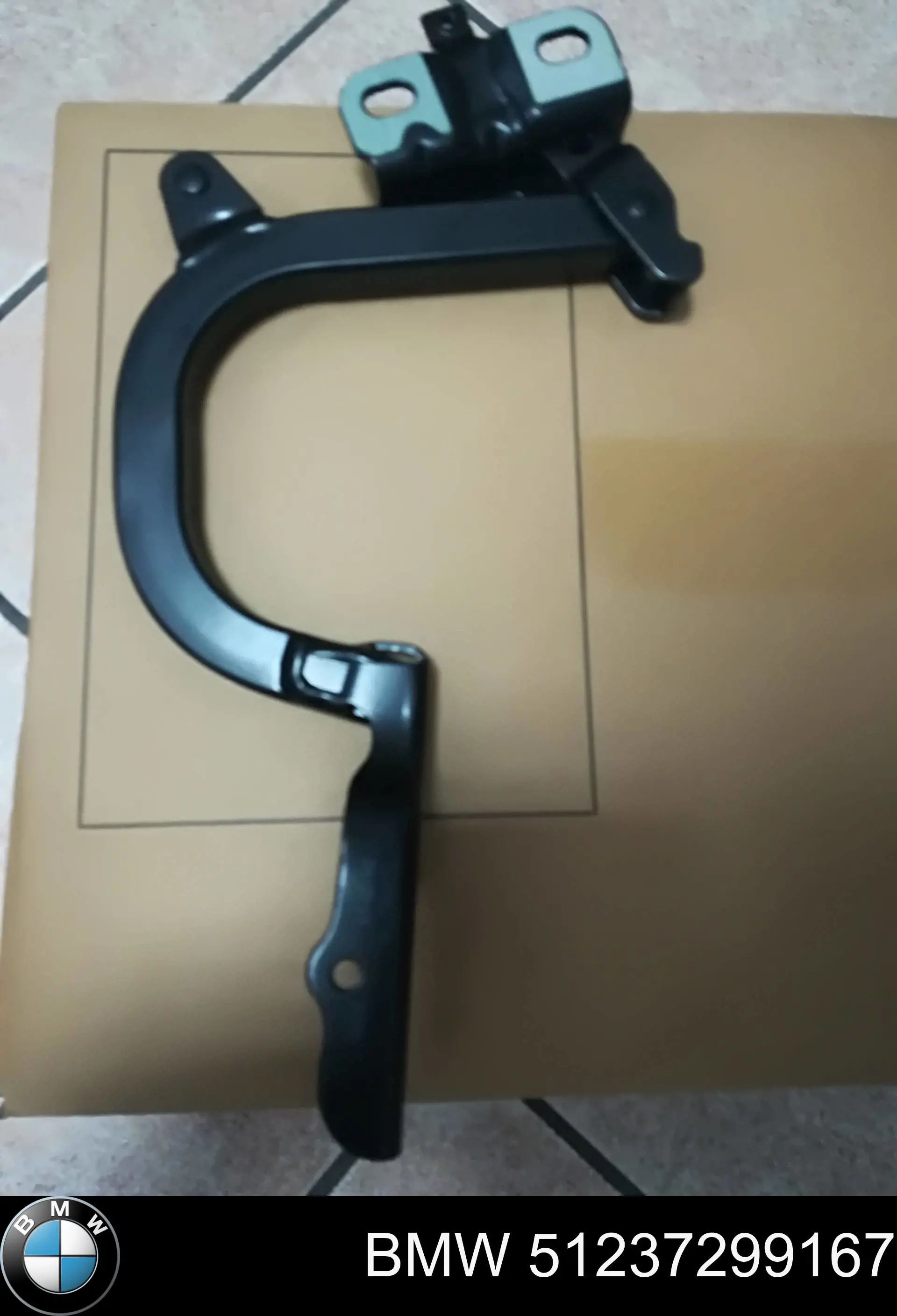 51237299167 BMW Gozno da capota esquerdo