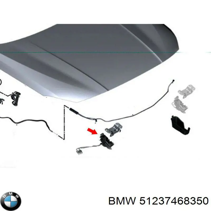 51237468350 BMW Fecho da capota direito