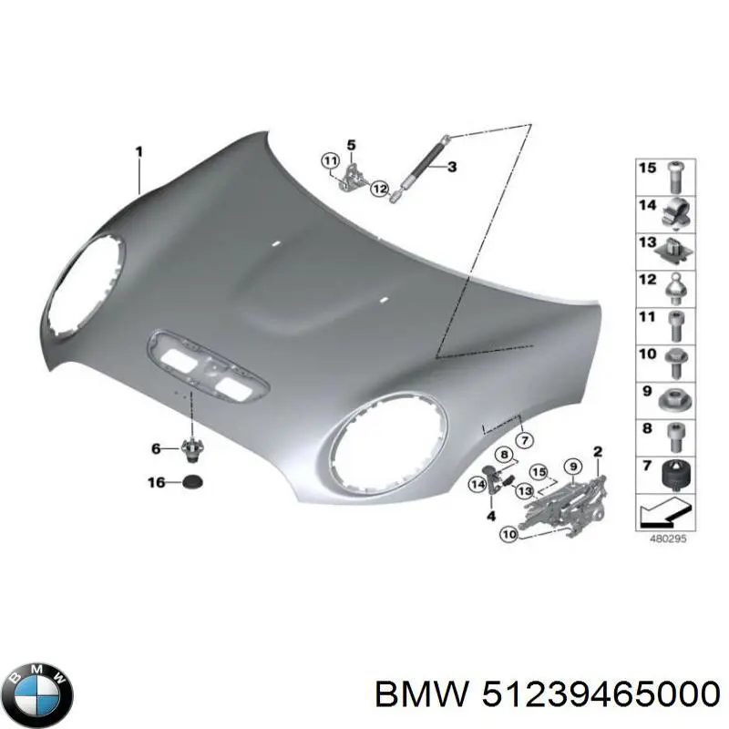 51239465000 BMW Pára-choque (grade de proteção) da capota
