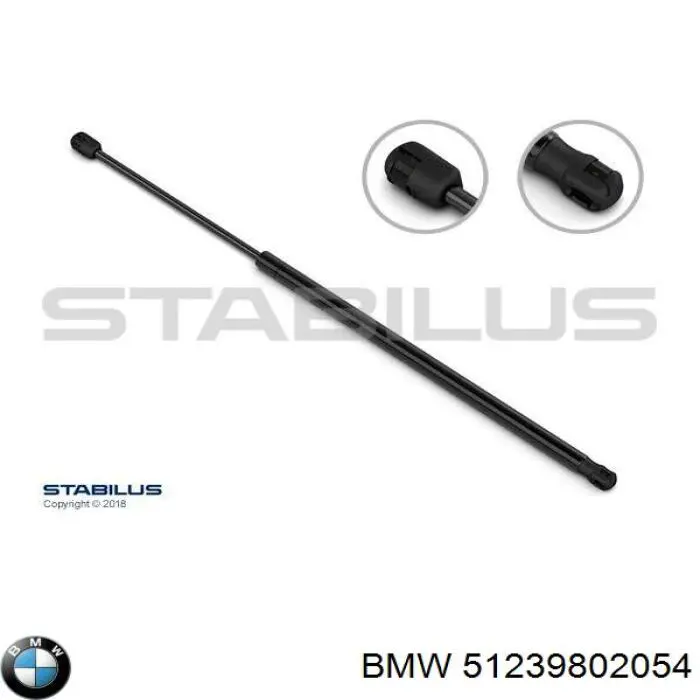51239802054 BMW Amortecedor da capota