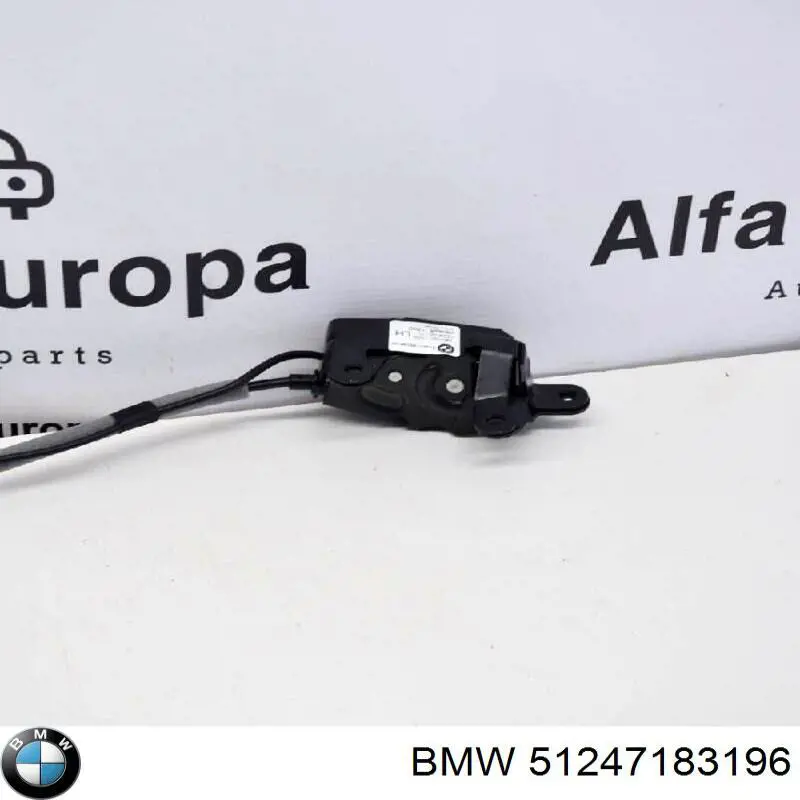 51247183196 BMW Fecho inferior da porta traseira esquerda batente
