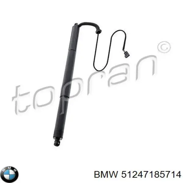 51247185714 BMW Amortecedor de tampa de porta-malas (de 3ª/5ª porta traseira)