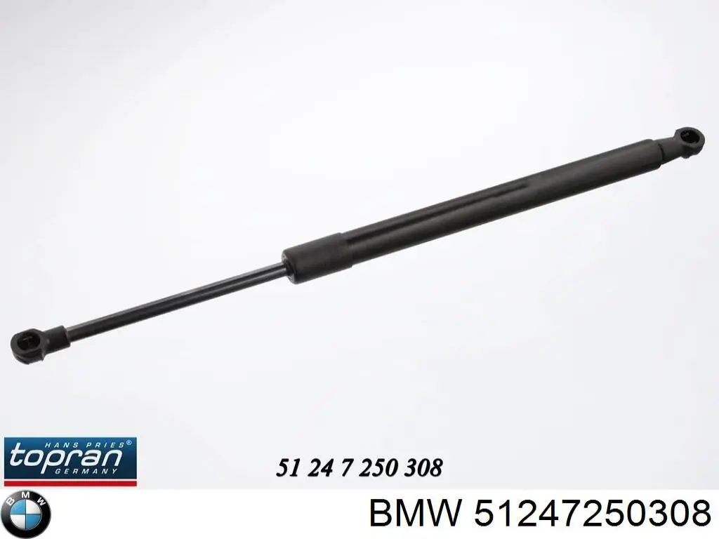 Amortecedor de tampa de porta-malas (de 3ª/5ª porta traseira) BMW 51247250308 preço, a partir de 21,94 USD