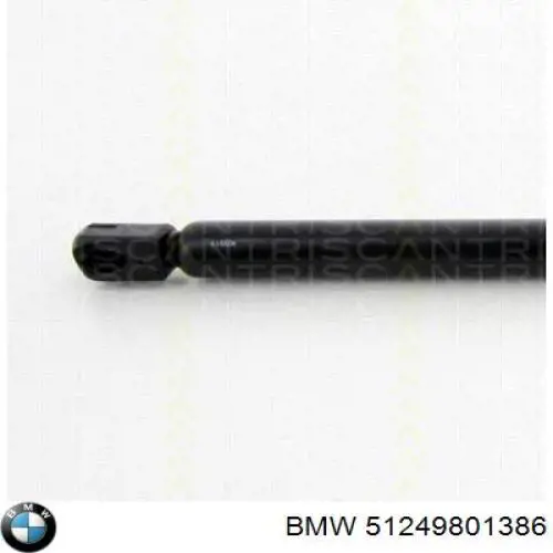 Compre 51249801386 BMW Amortecedor de tampa de porta-malas (de 3ª/5ª porta traseira)