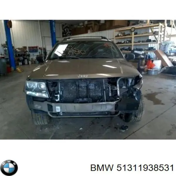 Compre 51311938531 BMW Moldura esquerda de pára-brisas