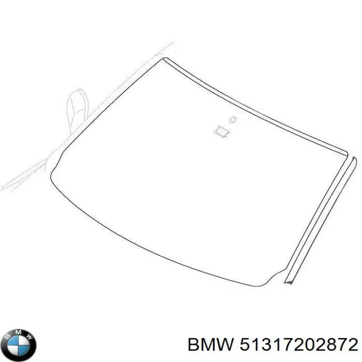51317202872 BMW Pára-brisas