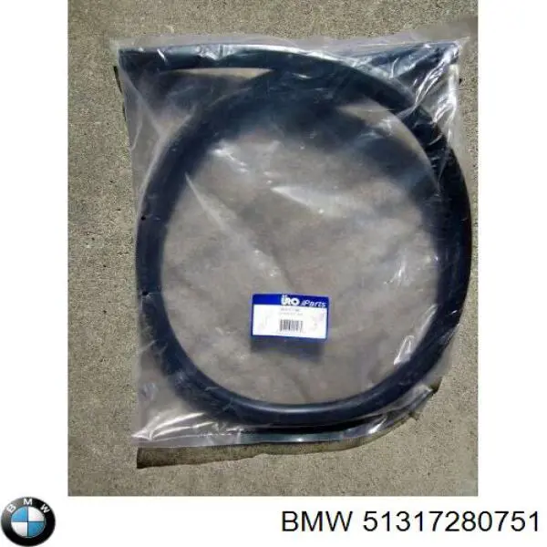 51317280751 BMW Pára-brisas