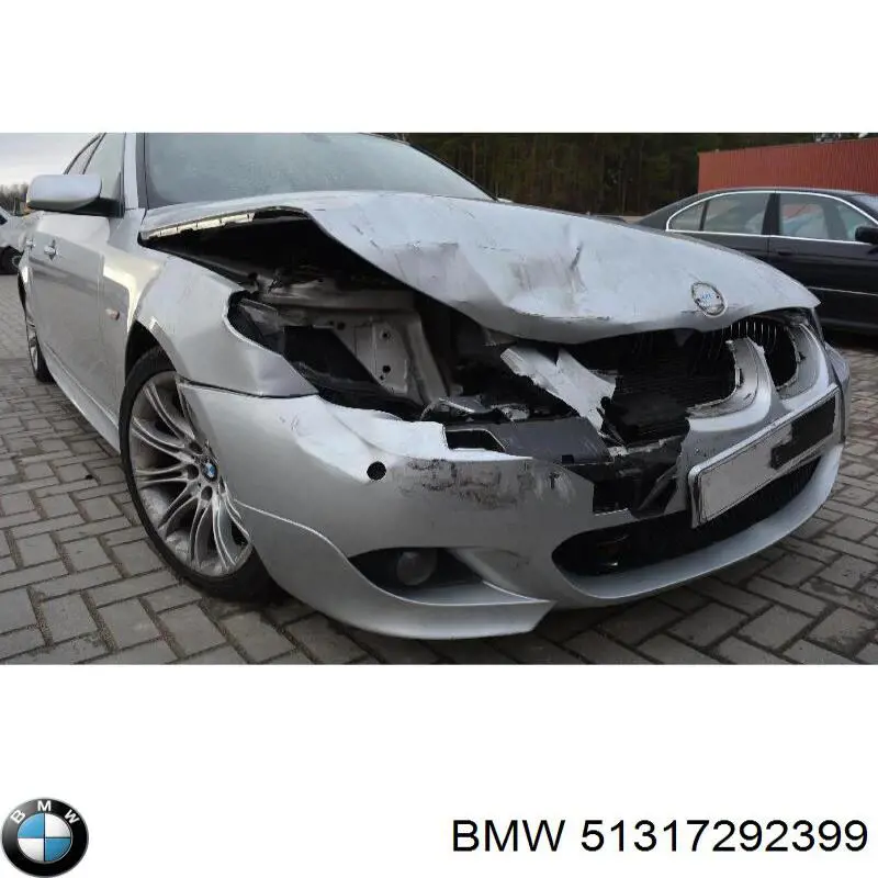 51317292399 BMW Pára-brisas