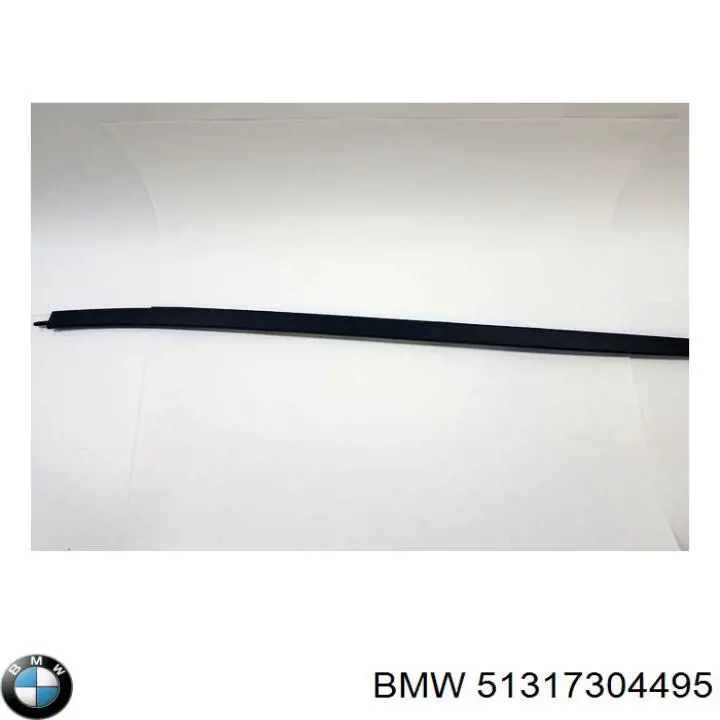 51317304495 BMW Pára-brisas