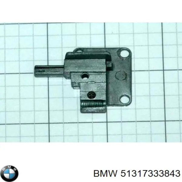 Compre 51317333843 BMW Pára-brisas