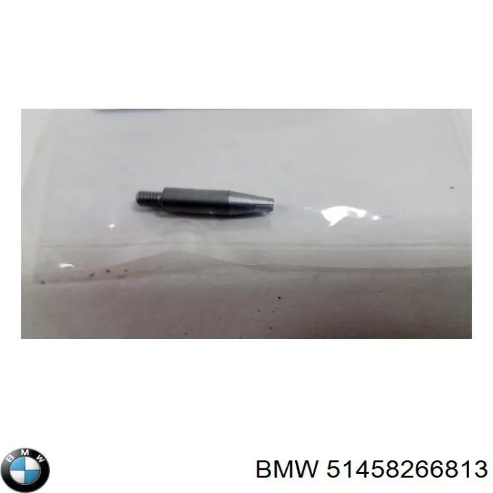 51458266813 BMW 