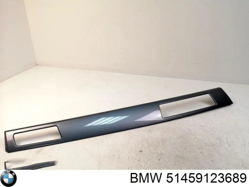 51459123689 BMW Painel de salão dianteira do "painel de instrumentos"