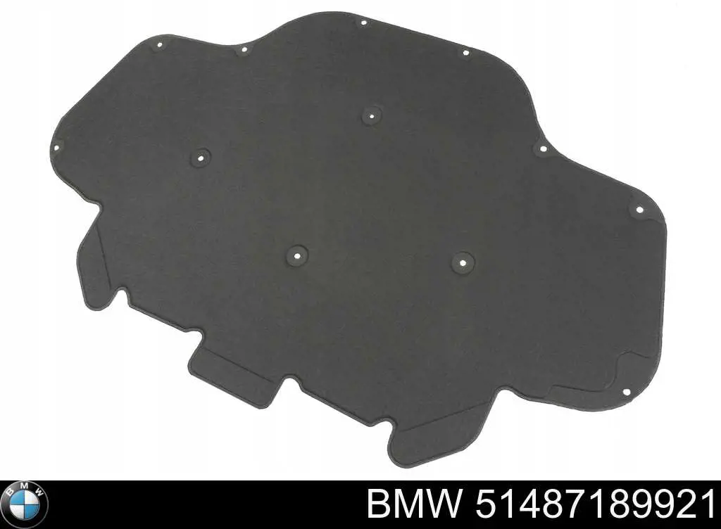 Isolamento de ruído da capota BMW 51487189921 preço, a partir de 89,11 EUR