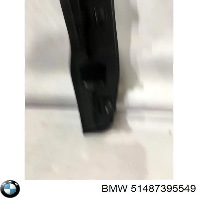 51487395549 BMW Compactador do pára-lama